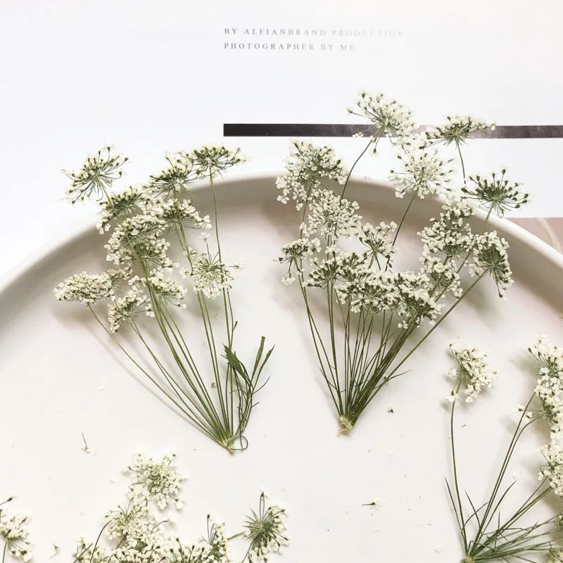5-7 см/12 шт., снежные крошечн – обзор и цена Craft Embellishment