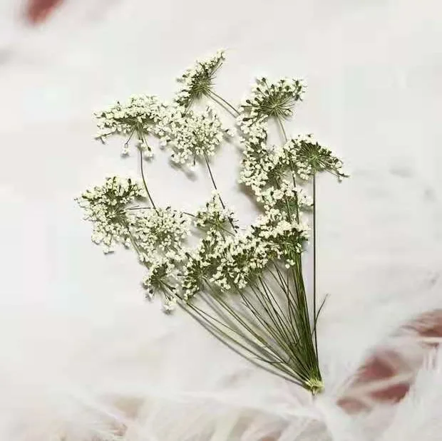5-7 см/12 шт., снежные крошечн – обзор и цена Craft Embellishment