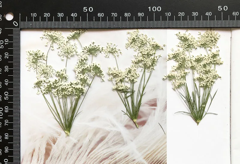 5-7 см/12 шт., снежные крошечн – обзор и цена Craft Embellishment