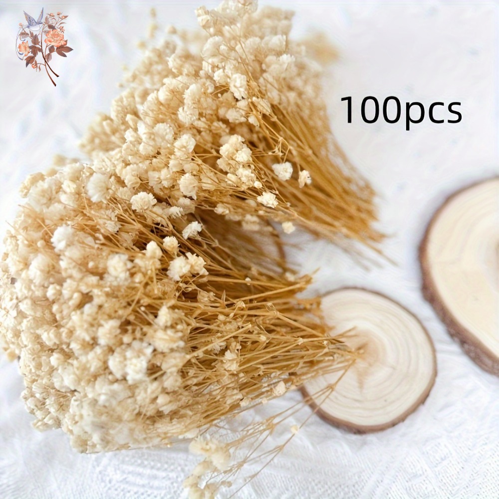 100 шт. миниатюрных сушеных цв – обзор и цена Embellish Craft